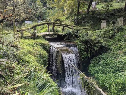 Botanical Garden — Batumi